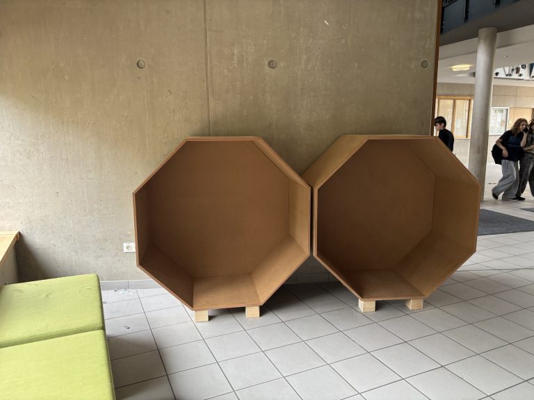 Schüler bauen Lern- und Lesewaben – Handwerk trifft Bildung